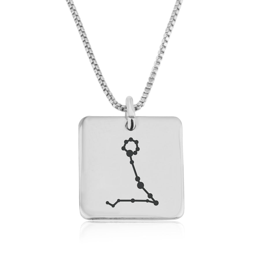 Pisces Constellation Necklace
