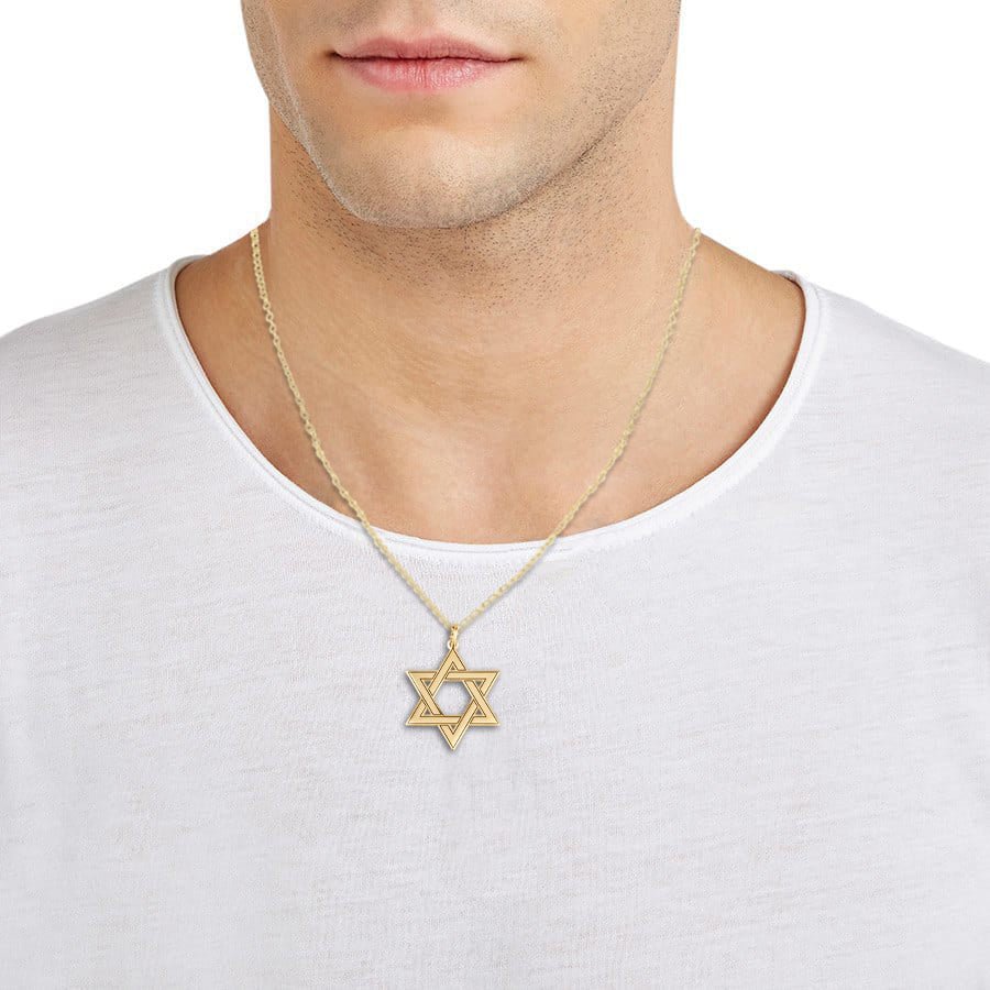 Rafael Jewelry Sterling Silver & 14K Gold Men's Star of David Necklace with  Lion of Judah (Large), Jewish Jewelry | Judaica WebStore